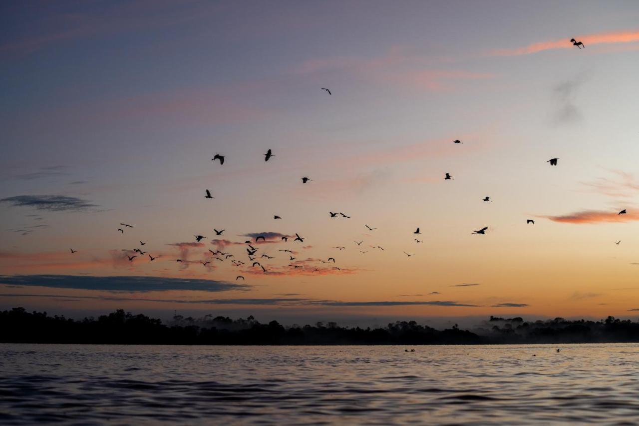 Amak Iquitos Ecolodge Santa Clara Zewnętrze zdjęcie